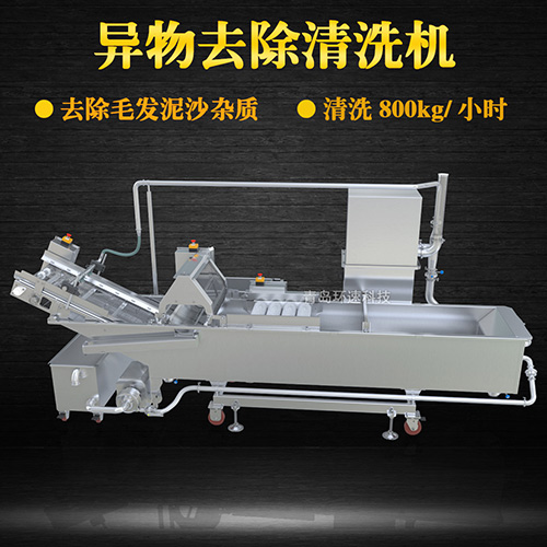 商用專業(yè)果蔬清洗機(jī)，氣泡清洗，清洗800kg小時(shí)