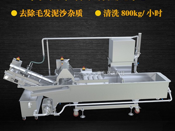 蔬菜清洗機(jī)，氣泡清洗，清洗800kg/小時(shí)