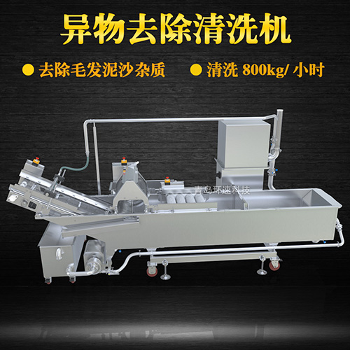 蔬菜清洗機(jī)，氣泡清洗，清洗800kg小時(shí)